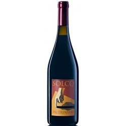 Lambrusco Salamino Solco Paltrinieri 2023