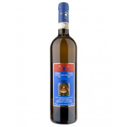 Greco di Tufo Vigna Cicogna Benito Ferrara 2023