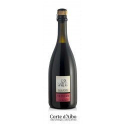 Barbera Frizzante Colli Bolognesi Corte d'Aibo 2023