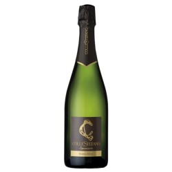 Spumante Extra Brut Metodo Classico di Verdicchio Collestefano 2021