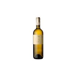 Verdicchio di Matelica Collestefano 2024 - 37.5cl (cartone da 12 bottiglie)