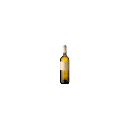 Verdicchio di Matelica Collestefano 2024 - 37.5cl (cartone da 12 bottiglie)