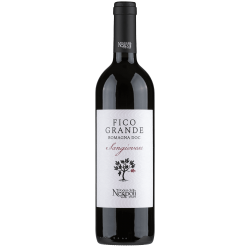 Fico Grande Sangiovese di Romagna Poderi dal Nespoli