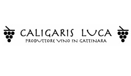 Luca Caligaris